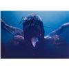 Image 1 : Autograph Signed Venom 2 Photo