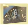 Image 2 : Signed Birds of Prey JSA Photo