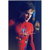 Image 1 : Autograph Signed Spiderman Photo