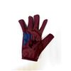 Image 1 : Autograph WandaVision Vision Paul Bettany Glove
