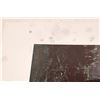 Image 17 : Bev Doolittle (5) & Olaf Weighorst (11) Prints [139921]