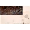 Image 3 : Bev Doolittle (5) & Olaf Weighorst (11) Prints [139921]