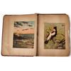 Image 2 : New York Trade Card Album; c. 1880s [154606]