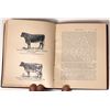 Image 3 : Hints on Dairying Book; 1885 [146227]