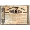 Image 1 : American Express Stock Signed by Wells and Fargo [155967]