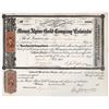 Image 1 : Mount Alpine Gold Company of Colorado Stock Certificate [155308]