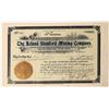Image 1 : Leland Stanford Mining Co. Stock [154966]