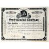Image 1 : Rico Mining Company Stock Certificate [154538]