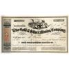 Image 1 : Echo Gold & Silver MC Stock; Mark Twain invested in this company [144398]