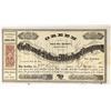 Image 1 : Green G&S Stock signed by president of the Gold Hill Broom Rangers! [144170]