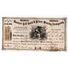 Image 1 : Bunker Hill Gold & Silver Mining Co. Stock from rare and short lived Santa Clara Mining District [14