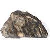 Image 2 : Sleeper Mine High Grade Gold Specimen, Large (240g) [154995]