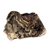 Image 1 : Sleeper Mine High Grade Gold Specimen [154997]