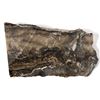 Image 1 : Sleeper Mine High Grade Gold Ore Specimen [154994]