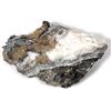 Image 2 : Fire Creek High Grade Gold Specimen [154996]