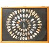 Image 1 : Projectile Points Early Paleo Period from Missouri [153101]
