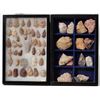 Image 1 : Colorful Assortment of Alibates (OK & TX) [155857]