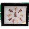 Image 2 : Colorful Assortment of Alibates (OK & TX) [155857]