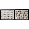 Image 2 : Projectile Points from Oklahoma and Missouri [153111]