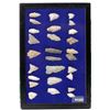 Image 1 : Projectile Points from Rhode Island [155851]