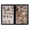 Image 1 : Pottery Shards from Kansas  [155852]