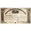 Image 1 : Mutual Benefit Life Insurance Scrip Dividend [155047]