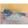 Image 1 : Mallard duck decoy - glass eyes