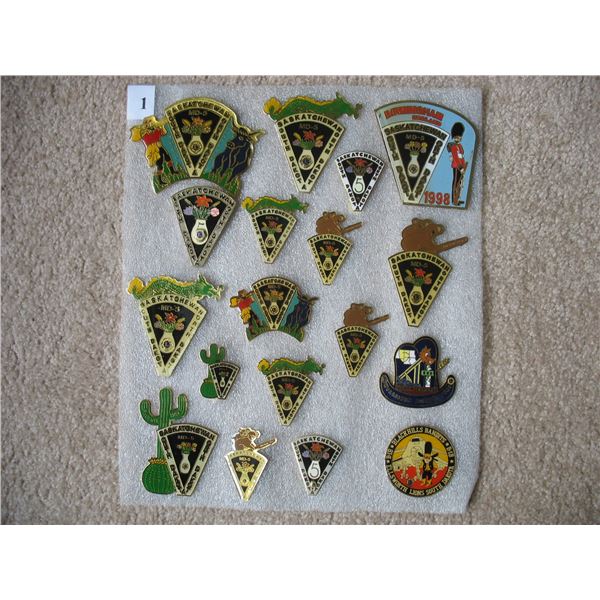 LIONS CLUB PINS - LOT of 18 PINS - Many Very Large