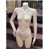 Image 1 : Torso mannequin with removable arms.