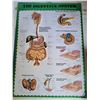 Image 4 : Informational medical guide books & anatomy posters.
