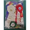 Image 1 : Lot of ribbon awards from provincial and local horse shows (14)