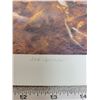 Image 2 : Print, “Fox Sparrow” by Tony Bianco, 71/395