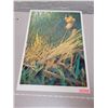 Image 1 : Print, “Long Billed March Hen Nest” by Dwayne Harty, 303/395