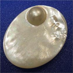 55x46 MM MOTHER OF PEARL PIECE