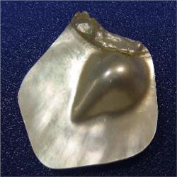 39x34 MM MOTHER OF PEARL PIECE
