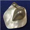 Image 1 : 39x34 MM MOTHER OF PEARL PIECE