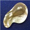 Image 1 : 47x29 MM MOTHER OF PEARL PIECE
