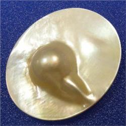 42x35 MM MOTHER OF PEARL PIECE