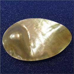47x30 MM MOTHER OF PEARL PIECE