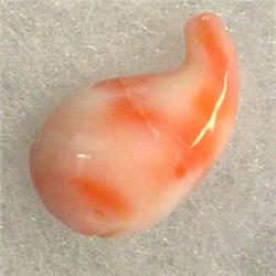 11 CTS CARVED NATURAL ITALIAN CORAL WHALE 18x10 MM