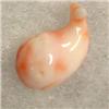 Image 1 : 11 CTS CARVED NATURAL ITALIAN CORAL WHALE 18x10 MM