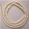 Image 1 : 4 MM FRESH WATER PEARL STRING - 16 INCHES