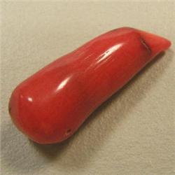 36 CTS FREE FORM BAMBOO RED CORAL PIECE 35x13 MM - TOP DRILLED
