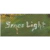 Image 3 : Acrylic on Board Signed Grace Light