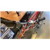 Image 8 : RED TRIUMPH BIKE
