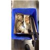 Image 1 : BIN OF ESTATE GOODS, GIBSON TEAPOT, CANDLES, GLASS FROG, DECORATIVE DISHES