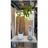 Image 1 : PORCELAIN PLANTER POT WITH ARTIFICIAL PLANT AND OIL HEATER