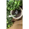 Image 2 : 4 ARTIFICIAL PLANTS