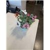 Image 3 : VINTAGE JADE TREE AND VINTAGE ORIENTAL HAND PAINTED EGG