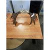 Image 1 : PAIR OF MOOSE ANTLERS